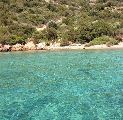 tavsan-burnu-bodrum-2